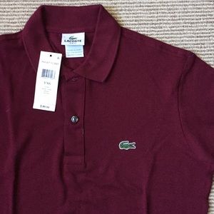 lacoste maroon
